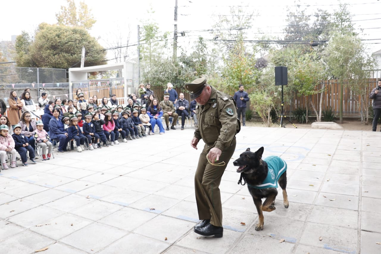 canino 5
